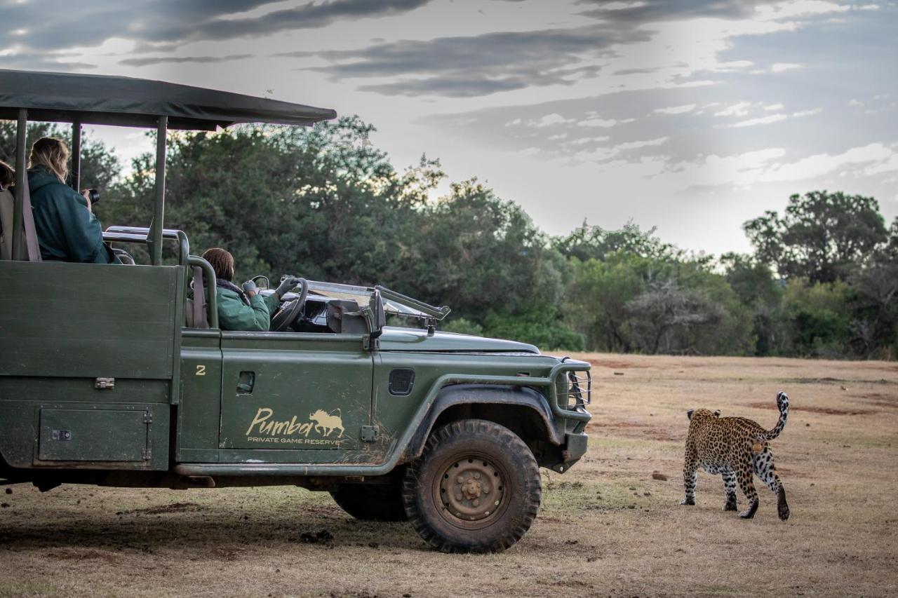 Pumba Private Game Reserve Grahamstown Exterior foto