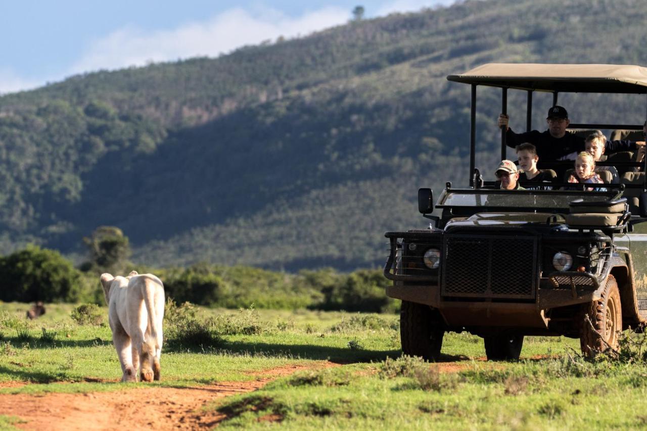 Pumba Private Game Reserve Grahamstown Exterior foto