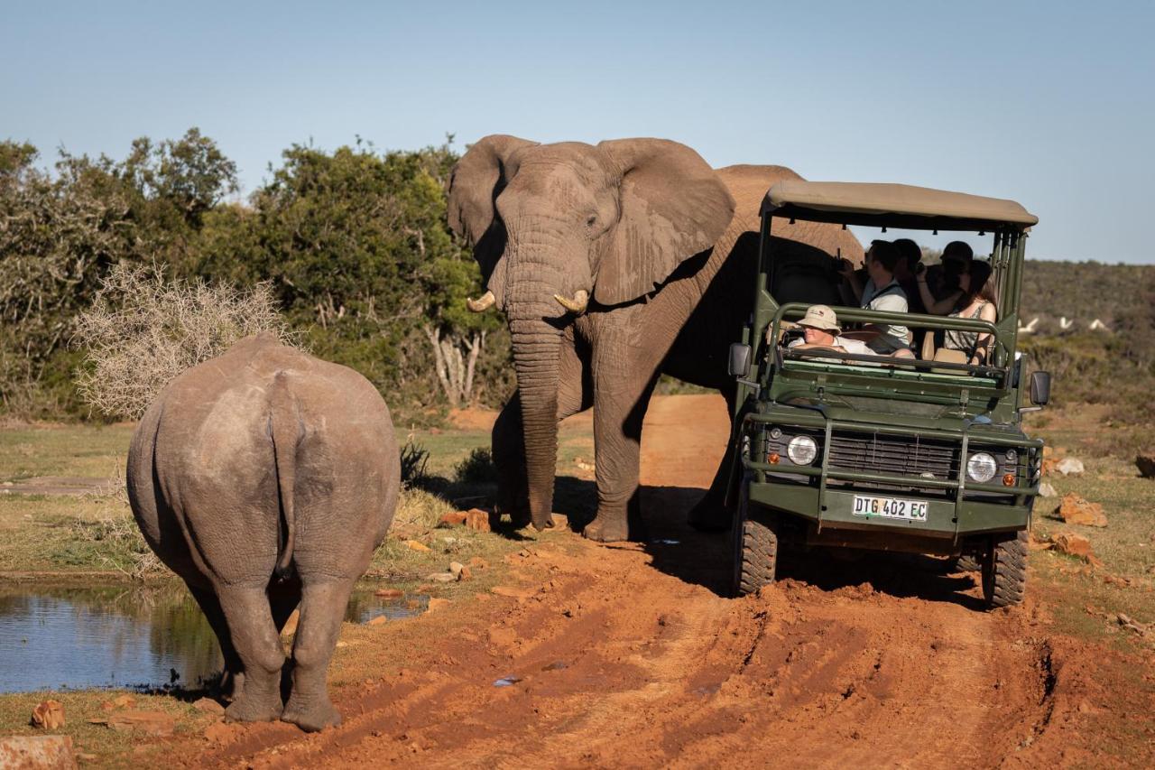 Pumba Private Game Reserve Grahamstown Exterior foto