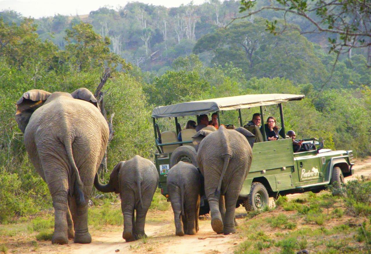Pumba Private Game Reserve Grahamstown Exterior foto