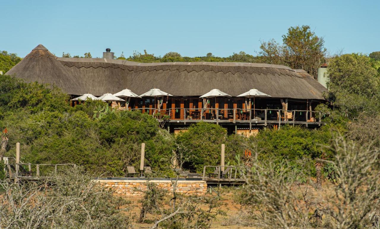 Pumba Private Game Reserve Grahamstown Exterior foto