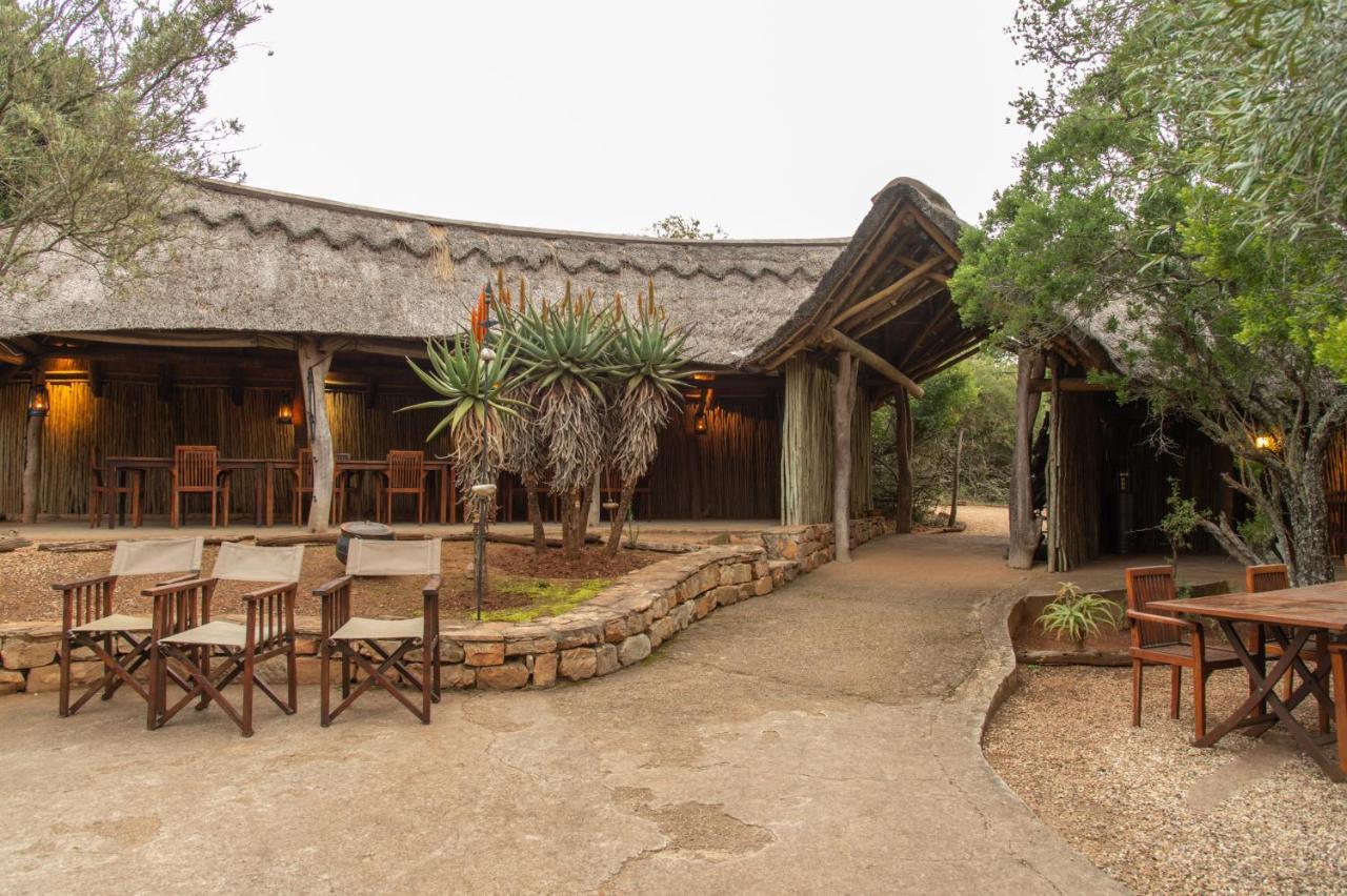 Pumba Private Game Reserve Grahamstown Exterior foto