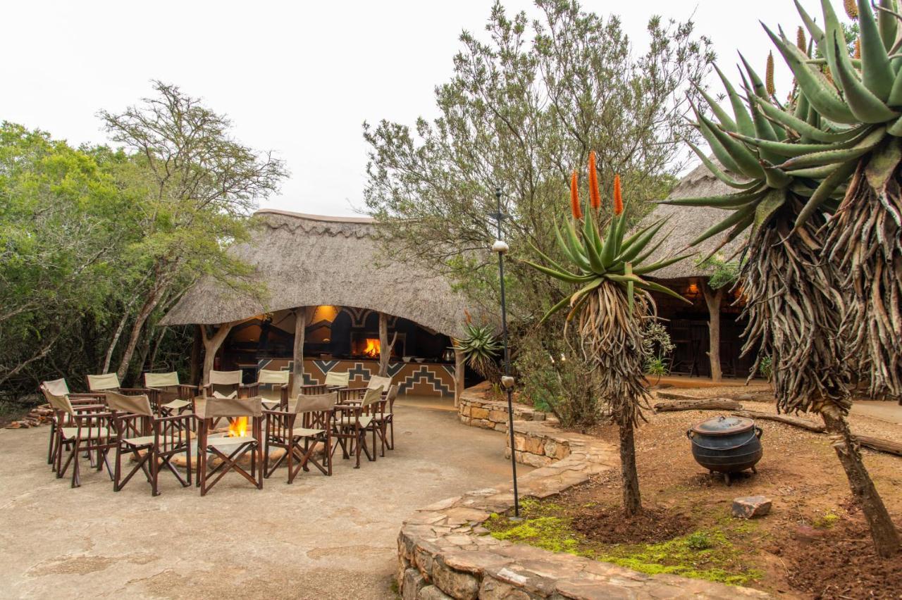 Pumba Private Game Reserve Grahamstown Exterior foto