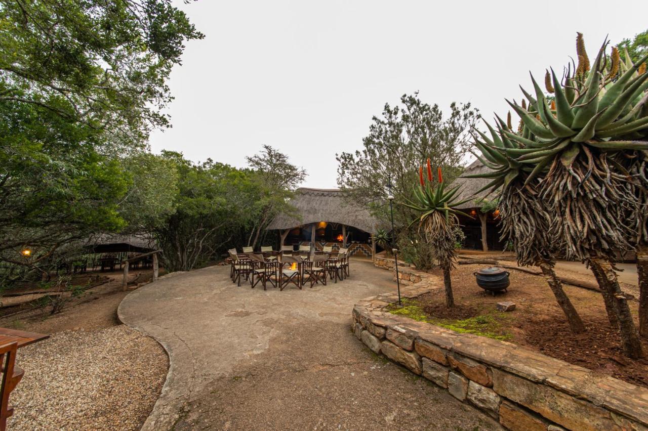 Pumba Private Game Reserve Grahamstown Exterior foto