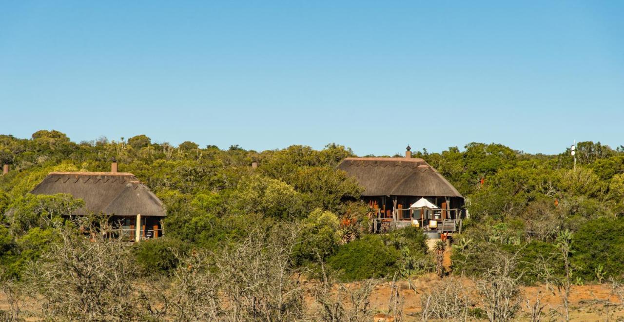 Pumba Private Game Reserve Grahamstown Exterior foto