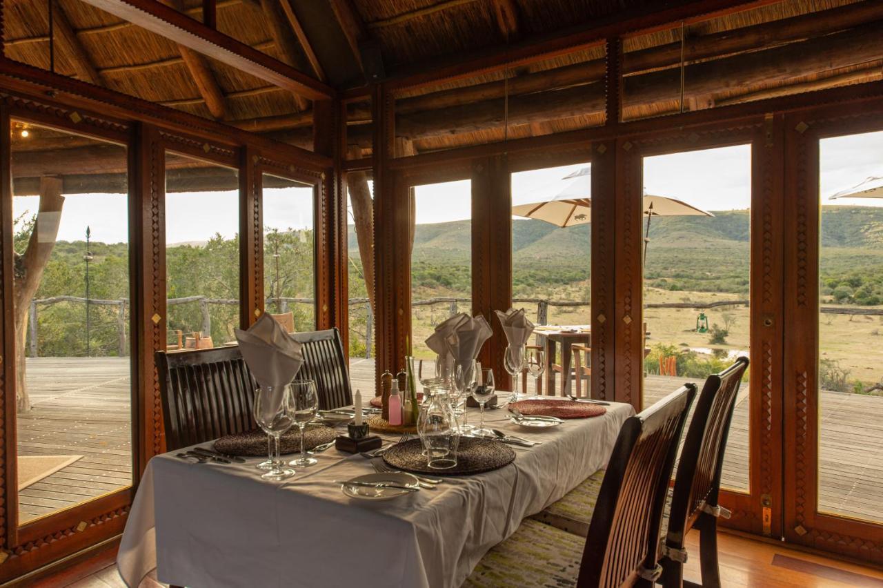 Pumba Private Game Reserve Grahamstown Exterior foto